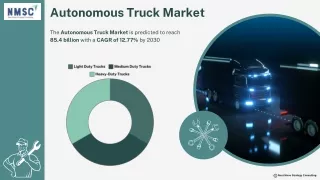 Autonomous Truck Market: Growth and Trends