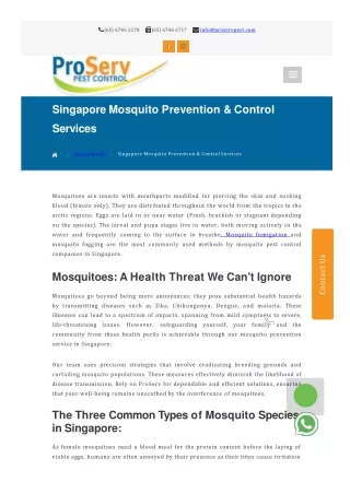 Comprehensive Mosquito Prevention Services in Singapore