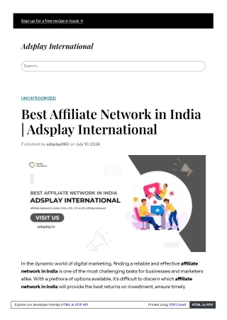 Best Affiliate Network in India  Adsplay International