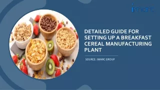 Setting Up a Breakfast Cereal Manufacturing Unit PDF