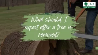 What should I expect after a tree is removed?