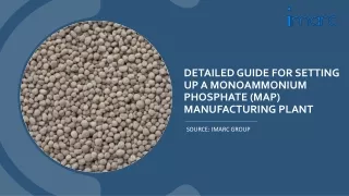 Setting Up a Monoammonium Phosphate (MAP) Manufacturing Plant PDF