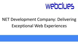NET Development Company: Delivering Exceptional Web Experiences