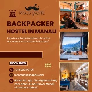 Luxury Backpacker Hostel in Manali, Himachal Pradesh  Moustache Escapes