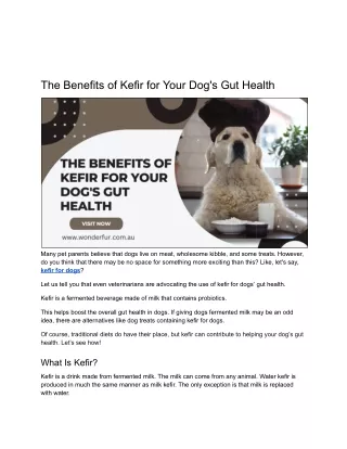 The Benefits of Kefir for Your Dog's Gut Health