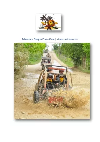 Adventure Boogies Punta Cana | Vipexcursiones.com