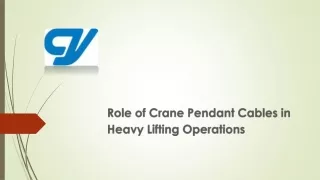 Role of Crane Pendant Cables in Heavy Lifting Operations