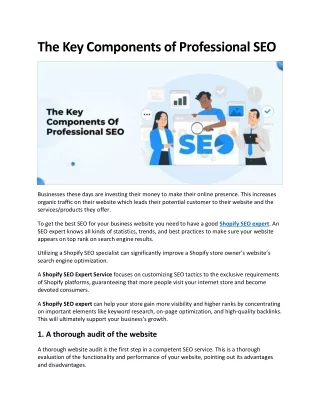 The Key Components of Professional SEO