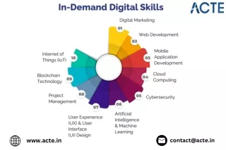 digital marketing course career  skills- ACTE Technologies