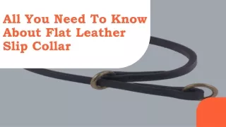 All You Need To Know About Flat Leather Slip Collar