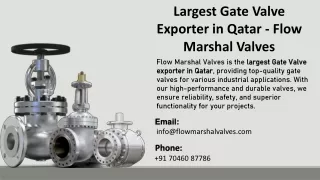 Largest Gate Valve Exporter in Qatar - Flow Marshal Valves