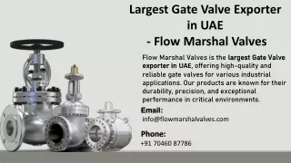 Largest Gate Valve Exporter in UAE- Flow Marshal Valves