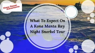 What To Expect On A Kona Manta Ray Night Snorkel Tour