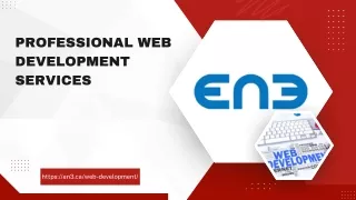 Professional Web Development Services (2)