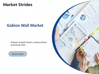 Gabion Wall Market