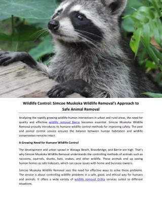 Wildlife Control: Simcoe Muskoka Wildlife Removal’s Approach to Safe Animal Remo