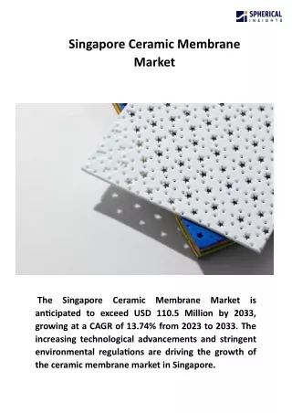 Singapore Ceramic Membrane Market