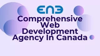 Comprehensive Web Development Agency In Canada