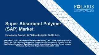 Super Absorbent Polymer (Sap) Market Revenue, Opportunity, Forecast 2024 - 2032