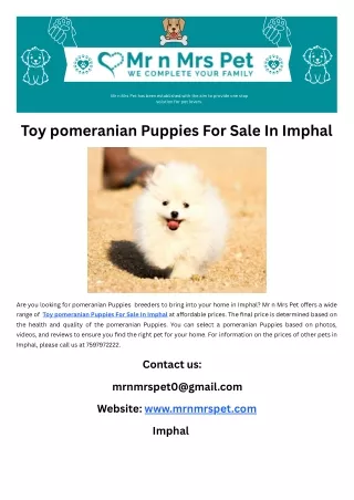 Toy pomeranian Puppies For Sale In Imphal