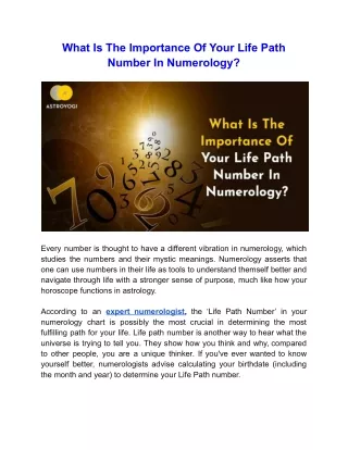 Importance Of Your Life Path Number In Numerology