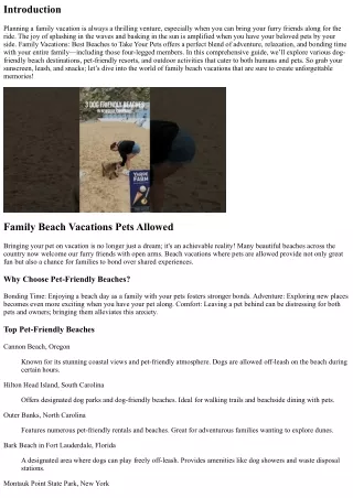 Family Vacations: Best Beaches to Take Your Pets