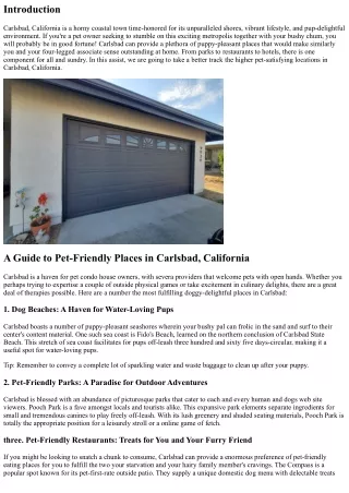 A Guide to Pet-Friendly Places in Carlsbad, California