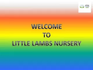 Trusted Day Care in Dubai at Little Lambs Nursery