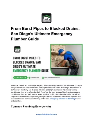 From Burst Pipes to Blocked Drains_ San Diego’s Ultimate Emergency Plumber Guide