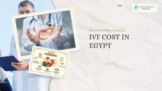 IVF Cost In Egypt | World Fertility Services