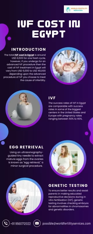 IVF Cost In Egypt | World Fertility Services