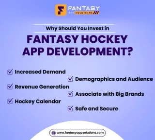 Why Should You Invest in Fantasy Hockey App Development