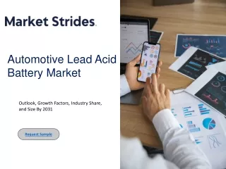 AutomotiveLead AcidBattery