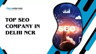 Top SEO company in Delhi NCR  - Techmistriz