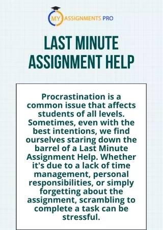 Last Minute Assignment Help | Myassignmentpro