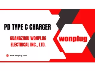 Pd type C charger