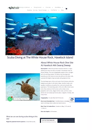 Explore the White House Rock Dive Site on Havelock Island