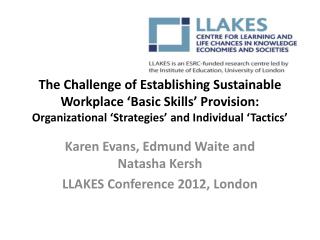 The Challenge of Establishing Sustainable Workplace ‘Basic Skills’ Provision: Organizational ‘Strategies’ and Individua