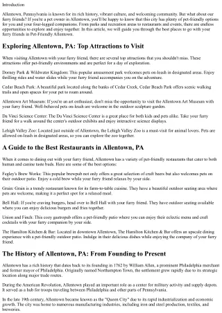 Pet-Friendly Allentown: Where to Go with Your Furry Friends?
