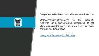 Cheaper Alternative To Cat Litter Welovecatsandkittens.com
