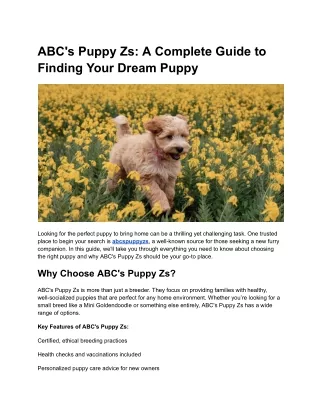 abcspuppyzs