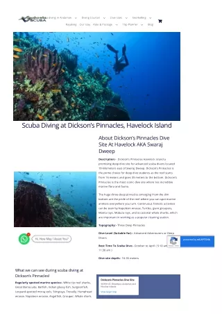 Discover Dickson’s Pinnacles Dive Site on Havelock Island