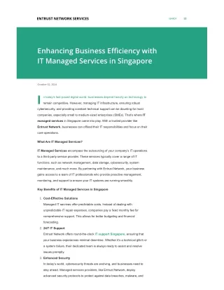 Enhancing Business Efficiency with IT Managed Services in Singapore