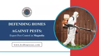 Reliable Pest Control in Magnolia, TX | Expert Services