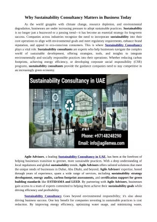 Why Sustainability Consultancy Matters in Business Today