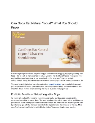 Can Dogs Eat Natural Yogurt_ What You Should Know