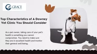 Top Characteristics of A Downey Vet Clinic You Should Consider