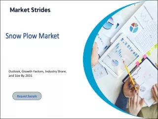 Snow Plow Market Size, Share, and Forecast to 2031