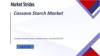 Cassava Starch Market