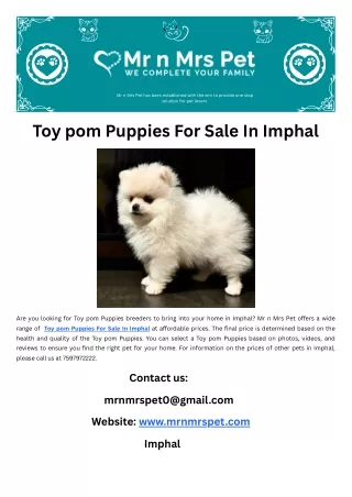 Toy pom Puppies For Sale In Imphal